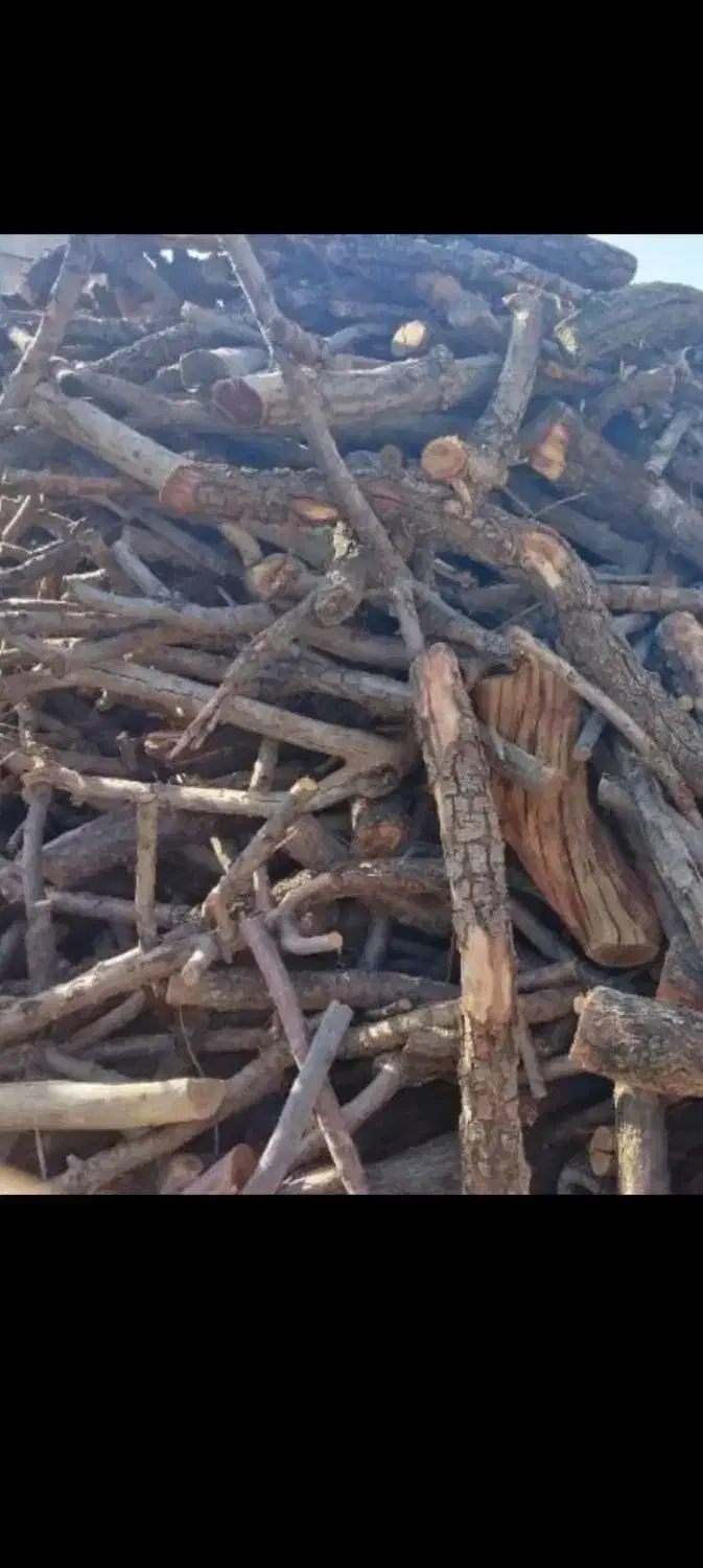 بریدن و هرس کردن درخت|خدمات باغبانی و درختکاری|شهریار, ابراهیم‌آباد|دیوار