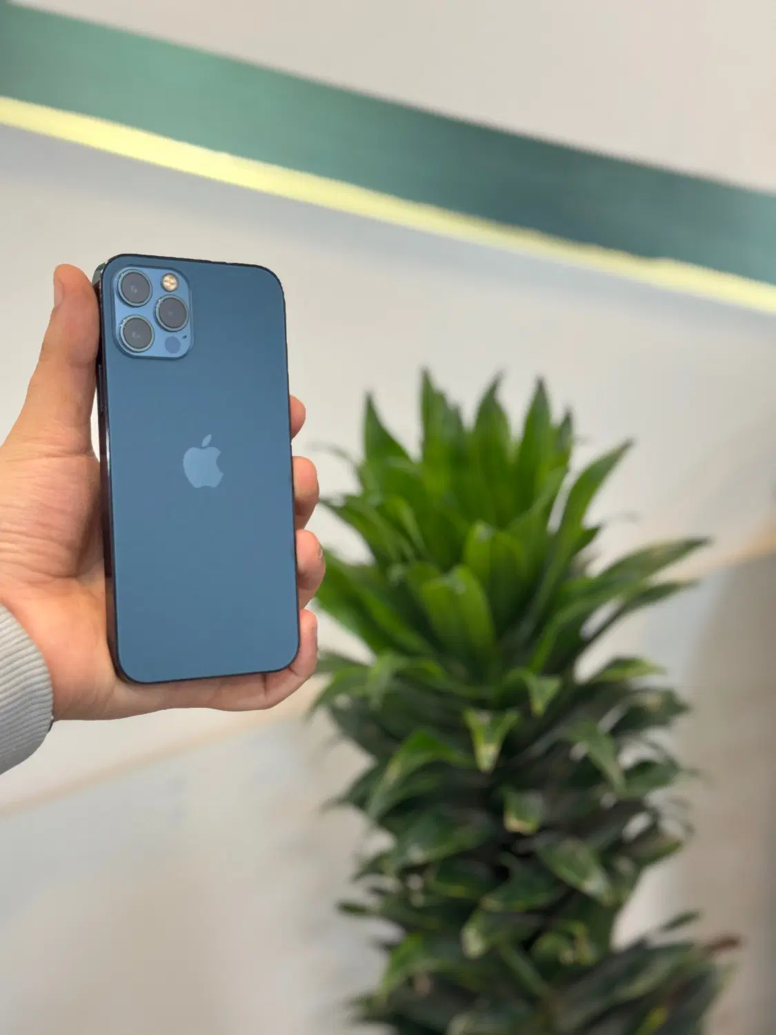 12Pro 256GB JA|موبایل|مشهد, بهشت|دیوار