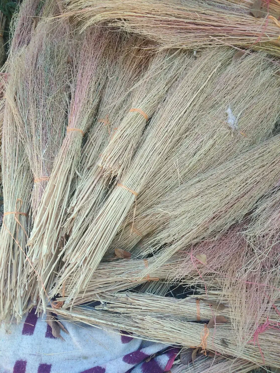 جارو باغی|لوازم نظافت|لاران, |دیوار