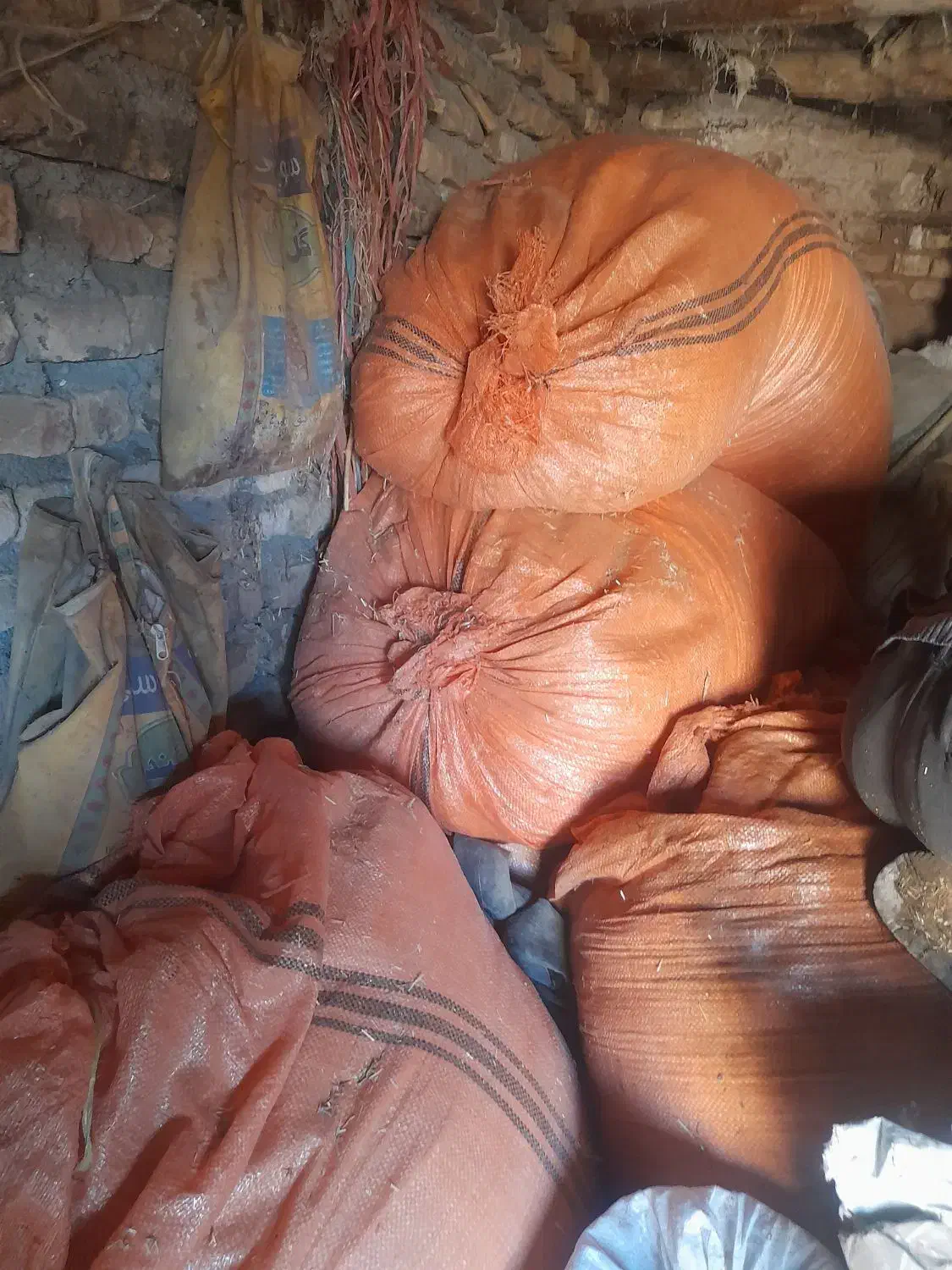 کاه|حیوانات مزرعه|نیشابور, میدون بار|دیوار