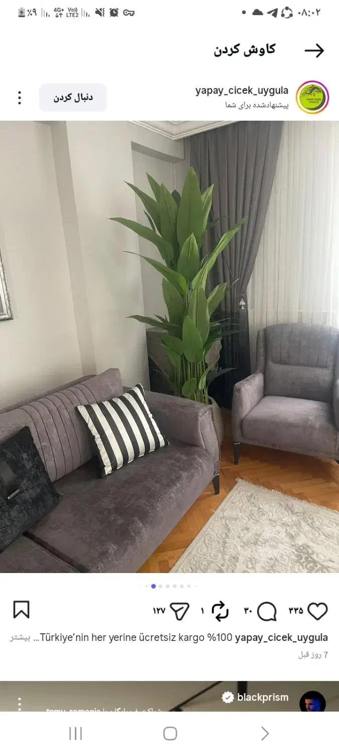 فروش انواع درختچه به قیمت عمده|گل مصنوعی|ساری, |دیوار