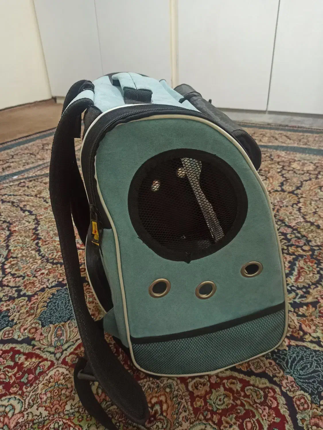 کیف و کوله حمل سگ و گربه عروس هلندی|کیف، کفش، کمربند|بندرعباس, |دیوار