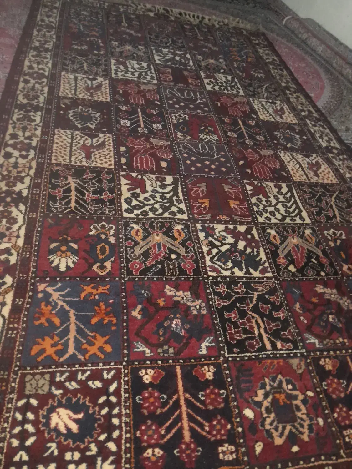 قالی بلداجی|فرش|رودشت (چهارمحال و بختیاری), |دیوار