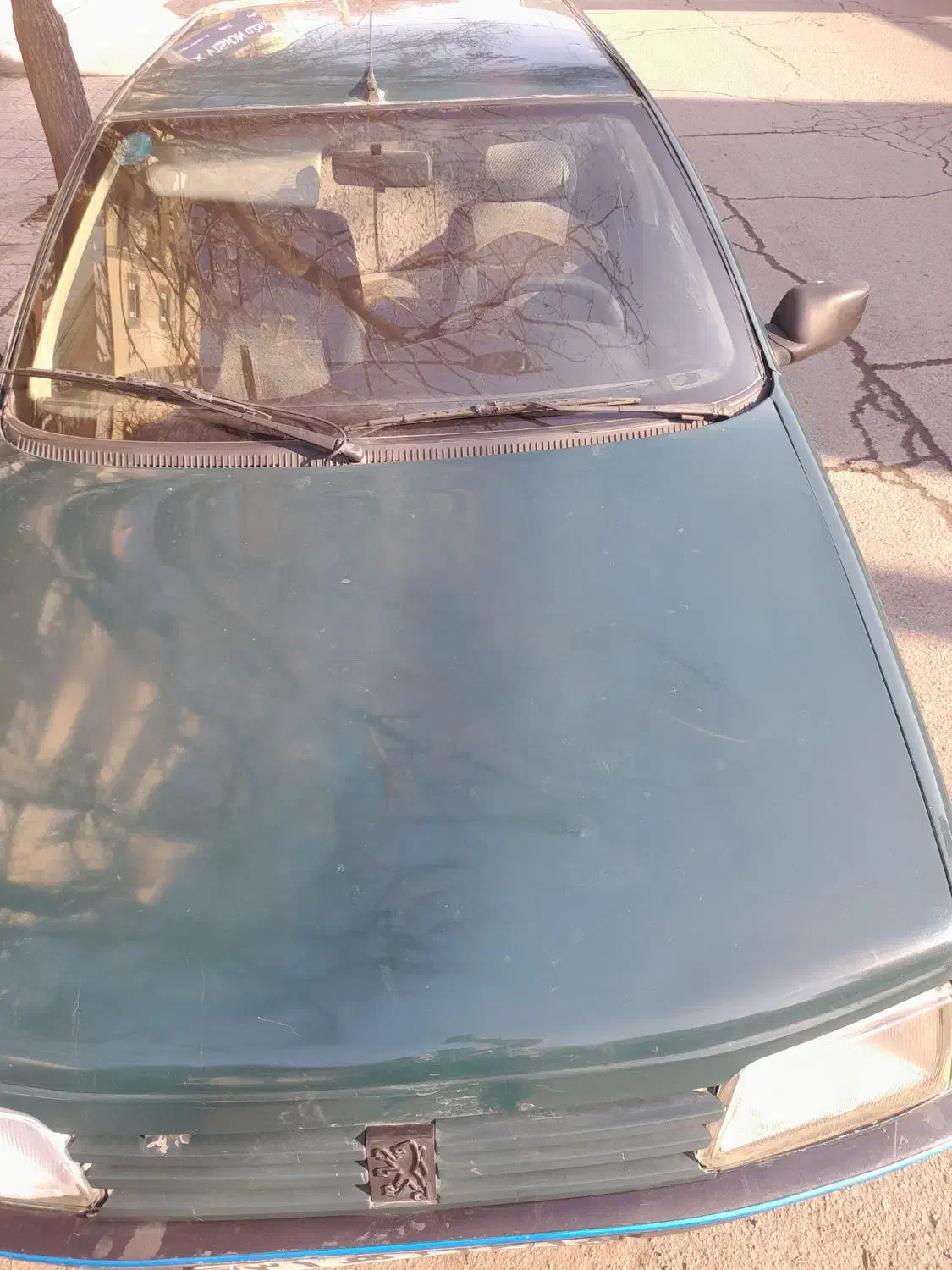 آردی  رخ پژو کیپ کیپ دوگانه|خودرو سواری و وانت|تبریز, |دیوار