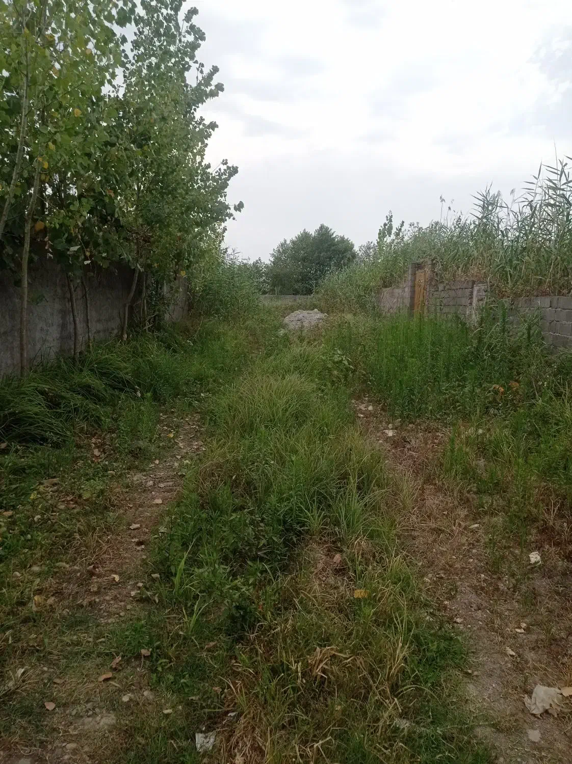 فروش زمین 200متری درپل تالشان|فروش زمین و ملک کلنگی|رشت, شهرک احمد خمینی|دیوار