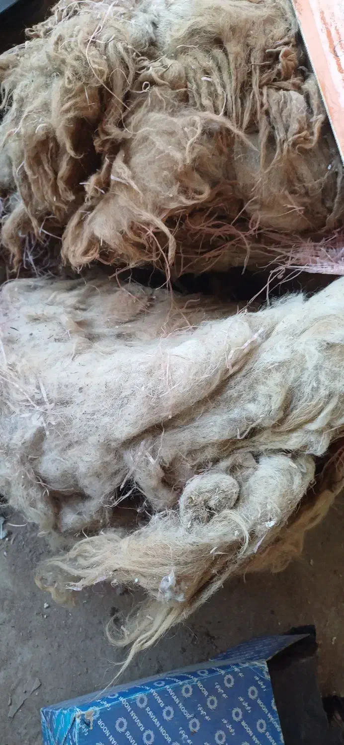پشم گوسفند|رختخواب، بالش، پتو|اهواز, زرگان|دیوار
