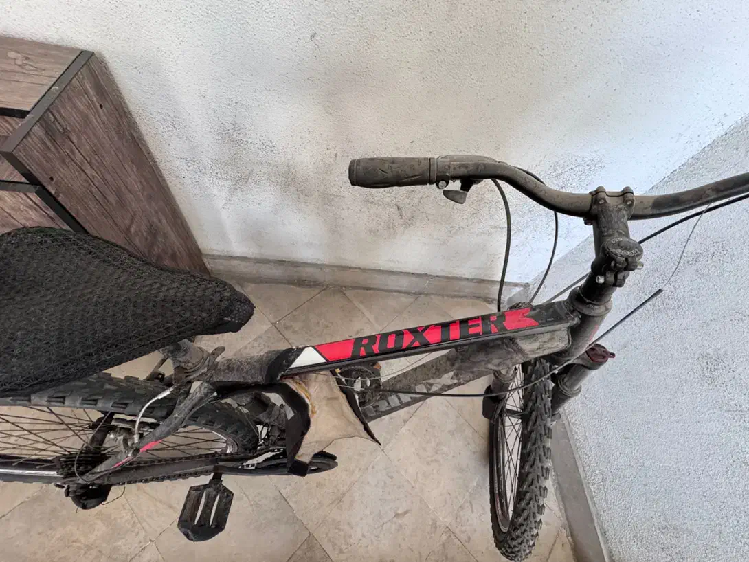 دوچرخه|دوچرخه، اسکیت، اسکوتر|تهران, آرارات|دیوار