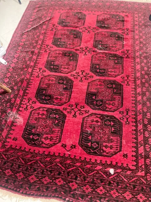 فرش دستباف پشم شتر|فرش|مشهد, فرهنگیان (شهرک غرب)|دیوار