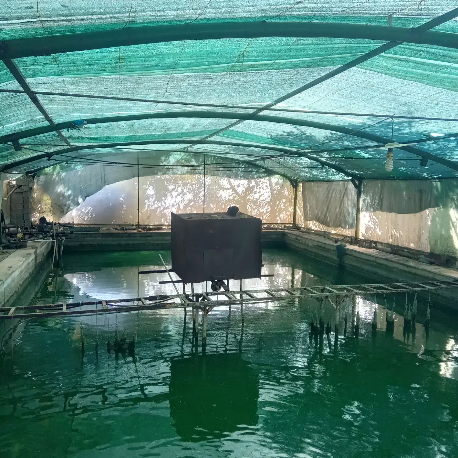 اجاره یا شراکت در استخر|اجارهٔ دفتر صنعتی، کشاورزی، تجاری|رباط‌کریم, نوده|دیوار