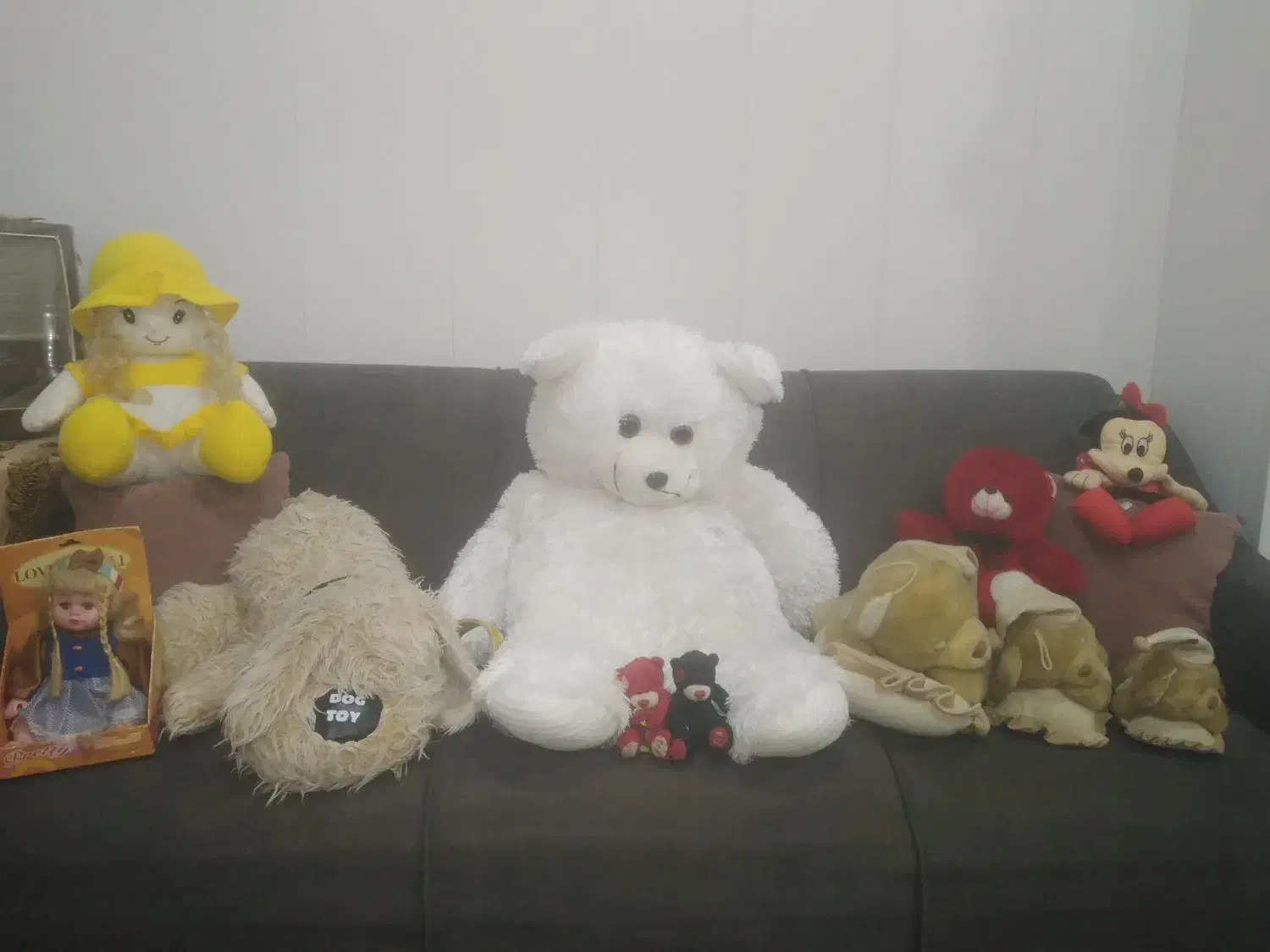 9 عدد عروسک فقط یک ملیون پونصد|اسباببازی|شیراز, لب آب|دیوار