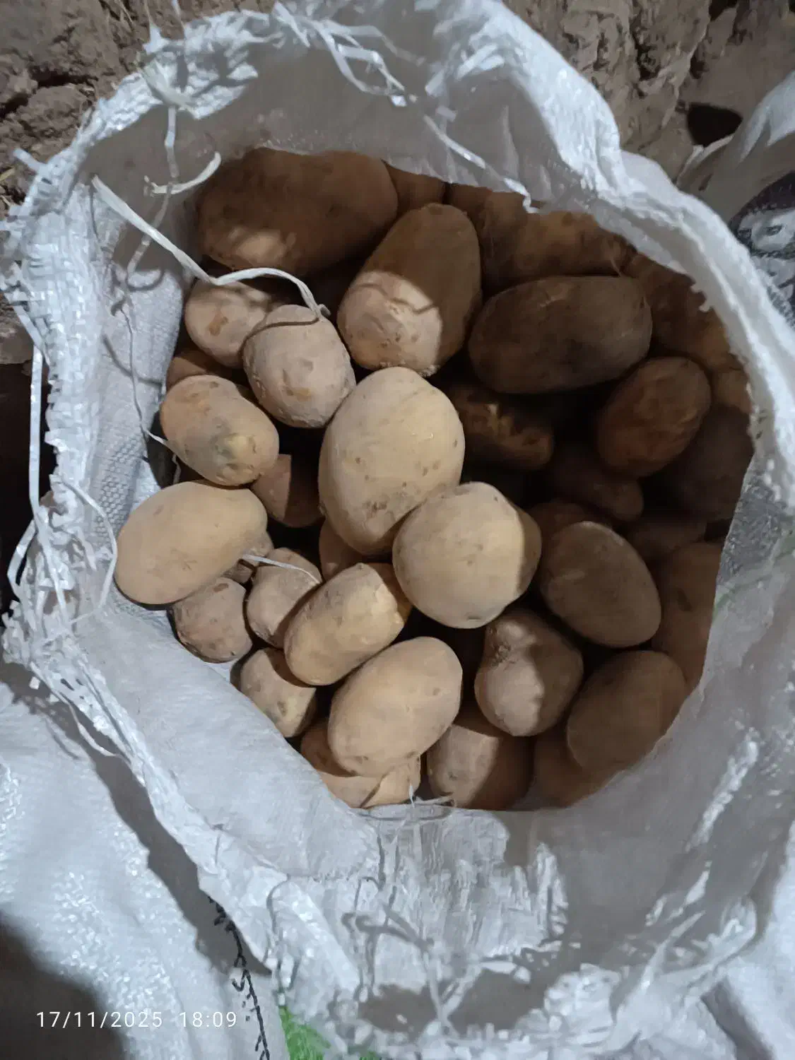 فروش سیب زمینی اگریا وجیلی درجه یک|عمدهفروشی|چاراویماق, |دیوار