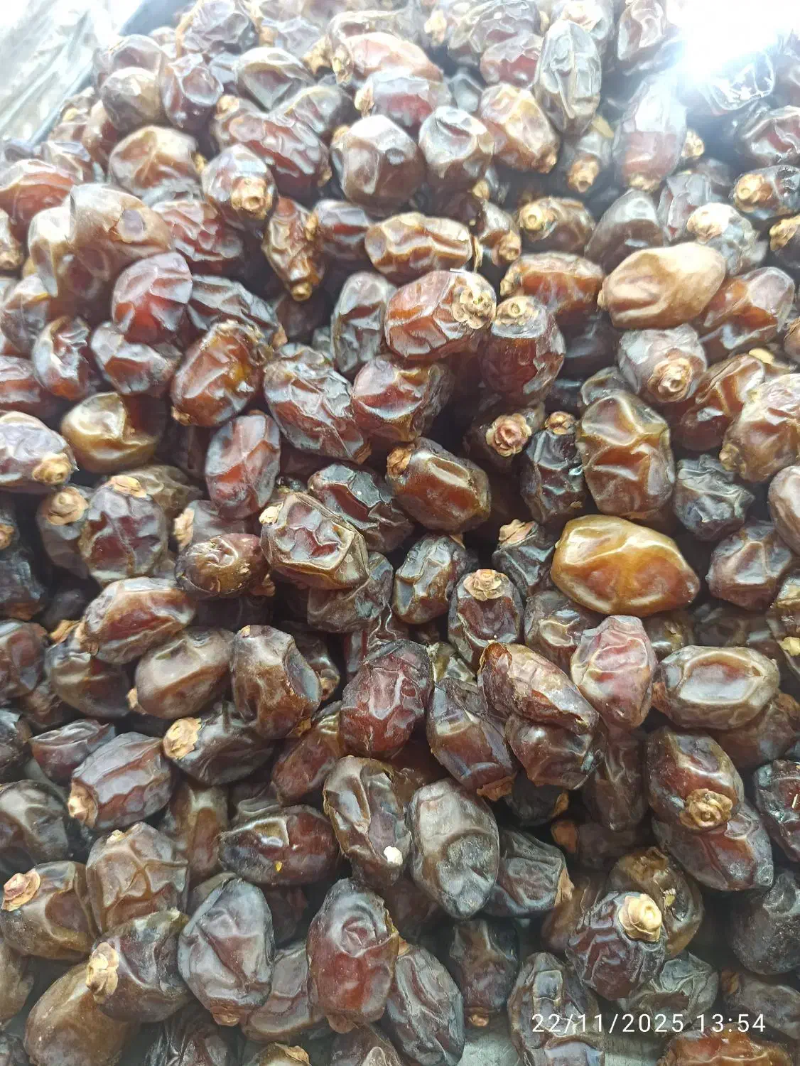 به یک زوج جوان و زرنگ نیازمندیم|استخدام خدمات فروشگاه و رستوران|دزفول, |دیوار