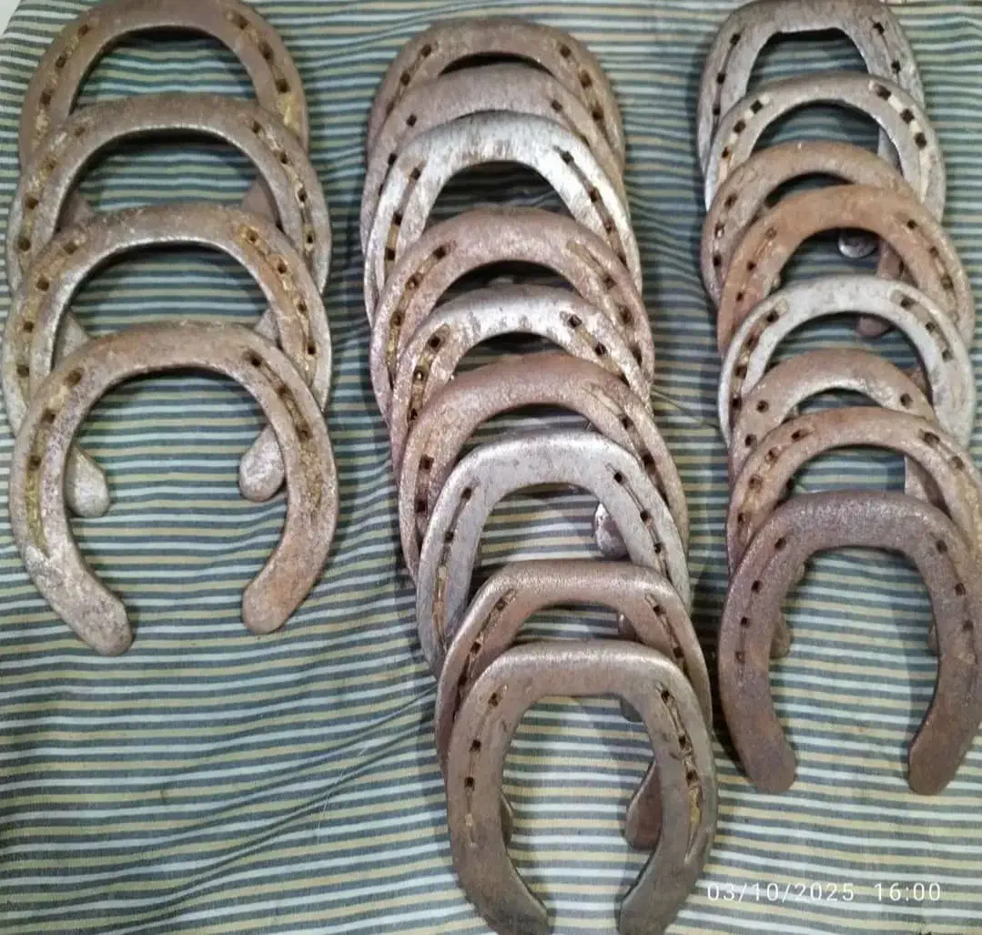 نعل اسب کهنه و پا خورده برای خوش شانسی|اسب و تجهیزات اسب‌سواری|خرم‌آباد, |دیوار