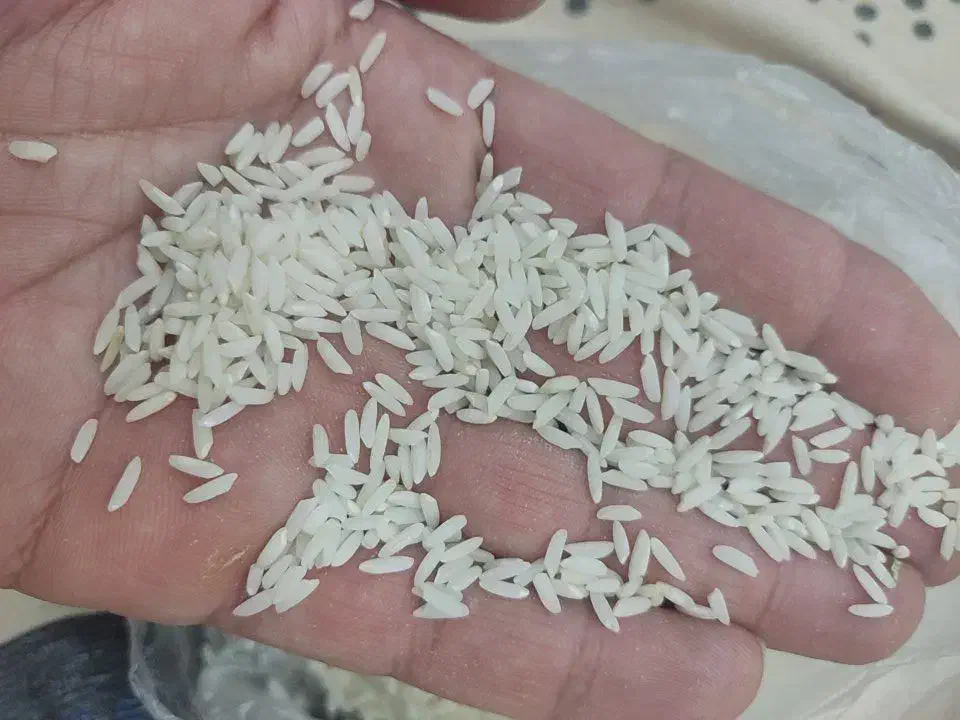برنج دورود|خوردنی و آشامیدنی|دلیجان, |دیوار