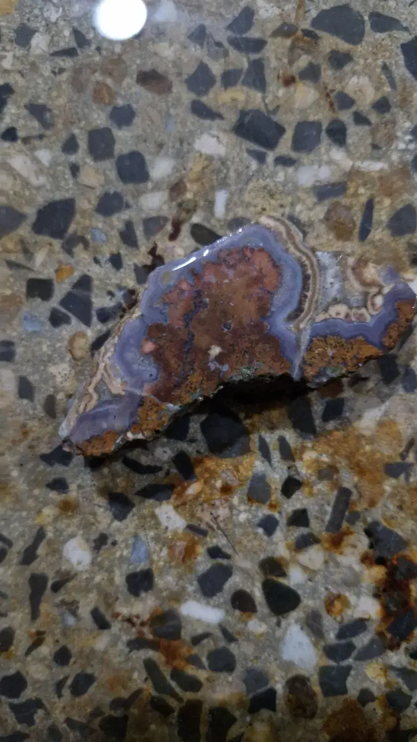 سنگ شجر راف پاییزه خراسان|زیورآلات و اکسسوری|الیگودرز, |دیوار