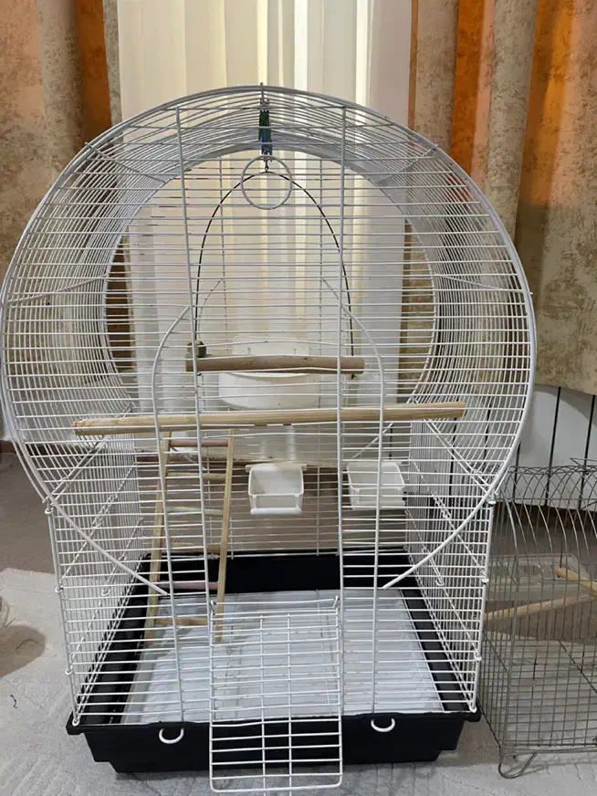 قفس پرنده طوطی مرغ عشق دوعدد|لوازم جانبی حیوانات|سیرجان, |دیوار