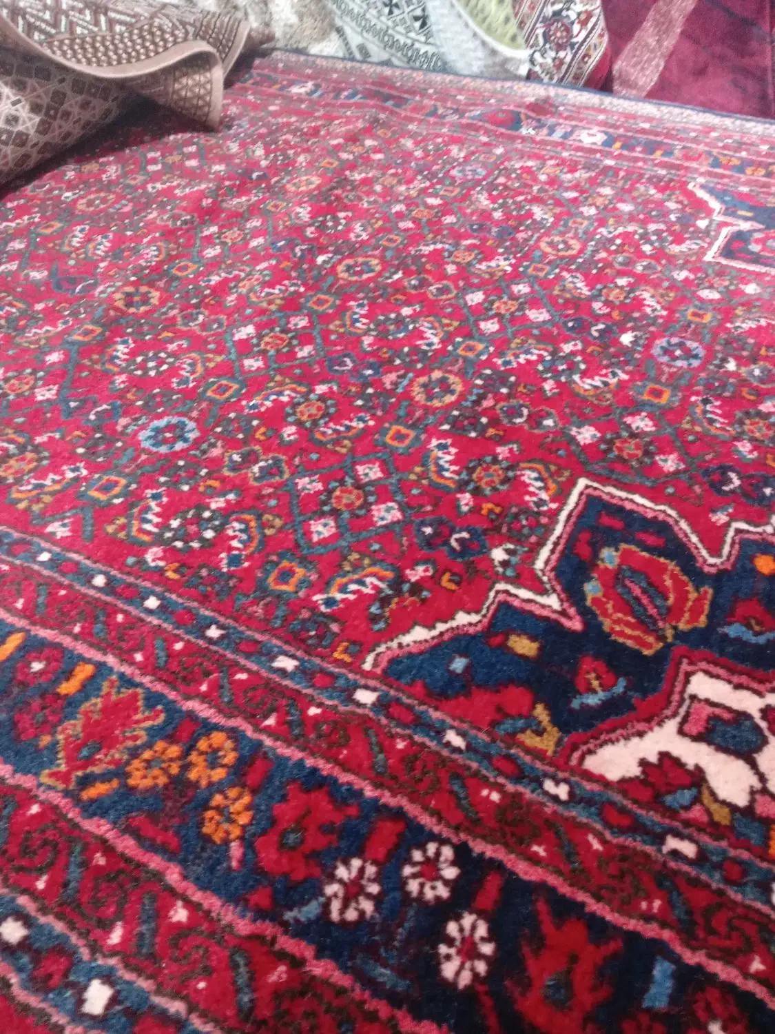 یک تخته فرش ۴/۵متری دستباف سالم تمیز گوشت دار|فرش|تهران, سهروردی|دیوار