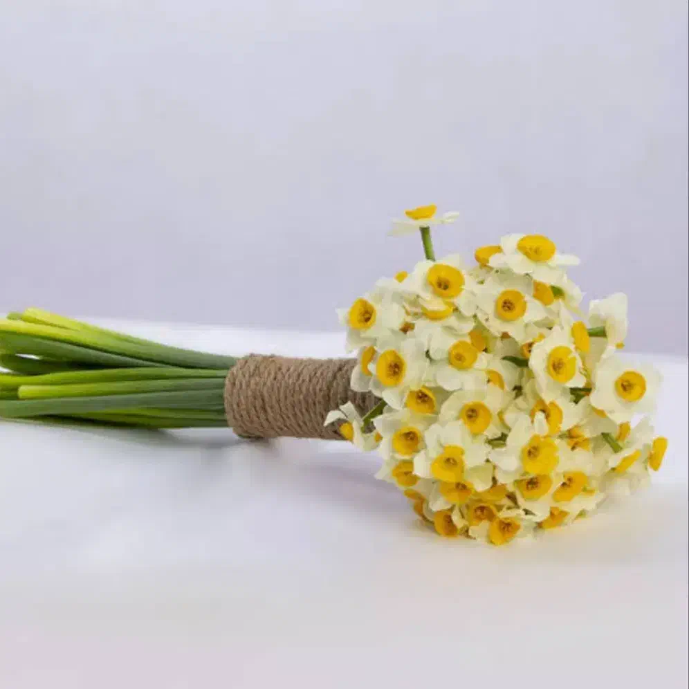 گل نرگس طبیعی|گل مصنوعی|ایذه, |دیوار