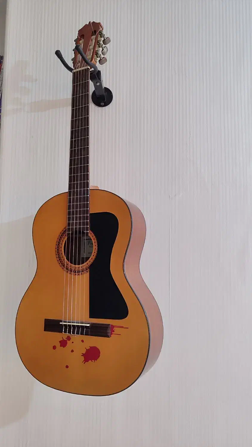 گیتار فرناندز Fernandez|گیتار، بیس، امپلیفایر|چهاردانگه (تهران), |دیوار