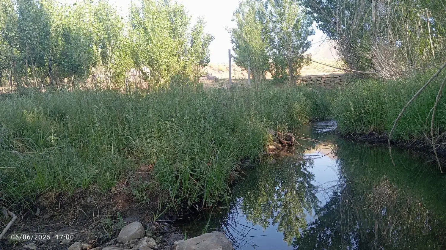 باغ 15ساله سیمین زاغه|فروش زمین و ملک کلنگی|بهار, |دیوار