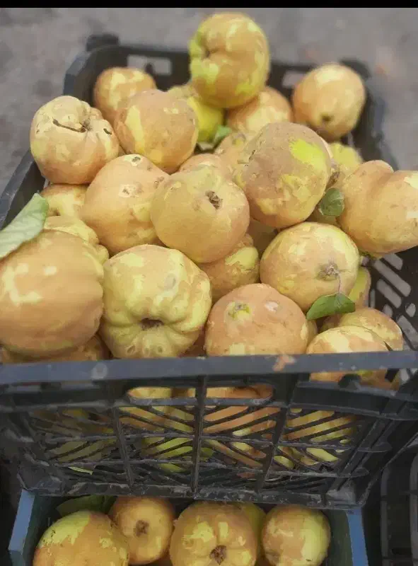 به درجه یک|خوردنی و آشامیدنی|بروجن, |دیوار