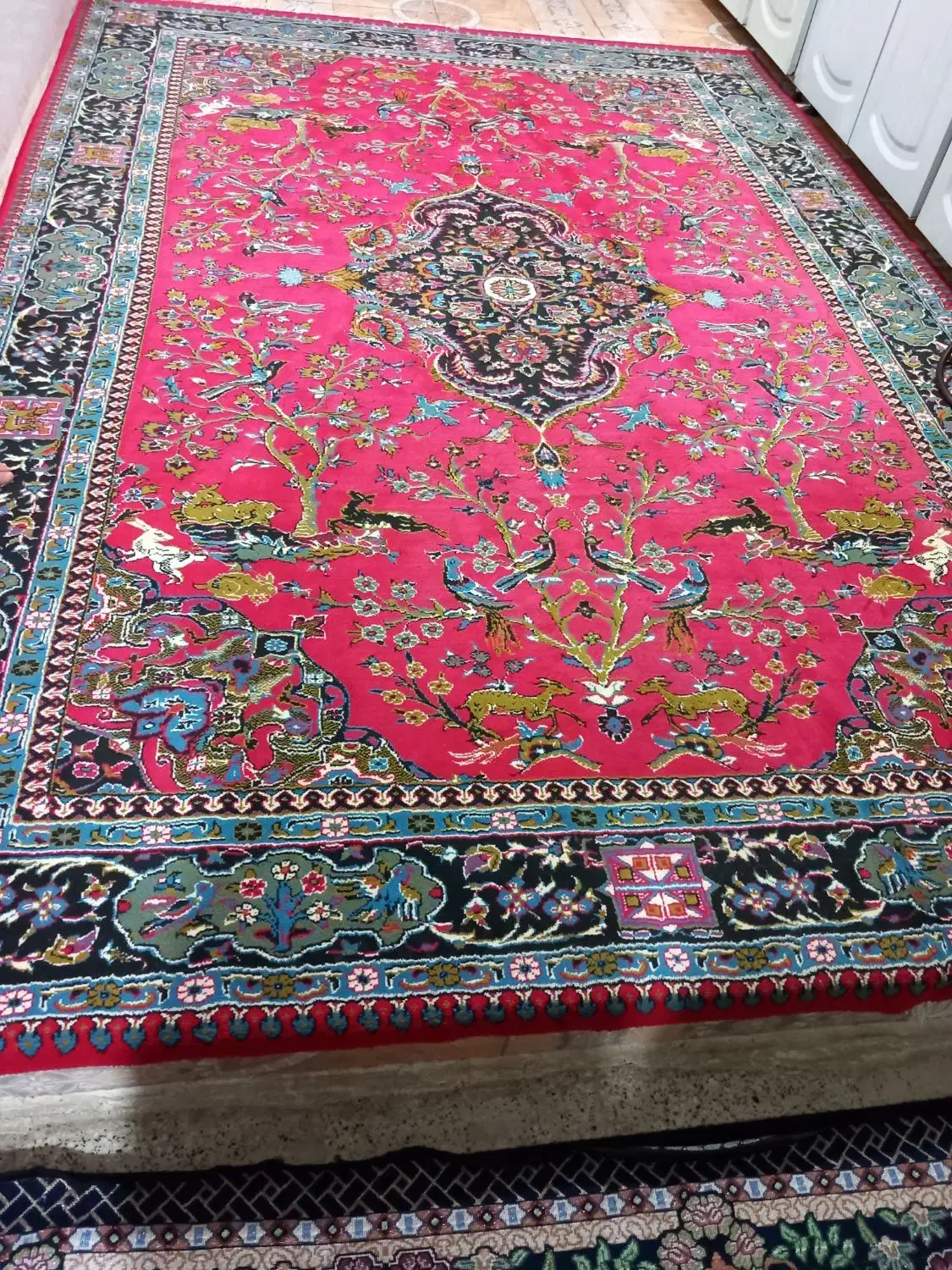 فرش ۶ متری|فرش|نورآباد, |دیوار