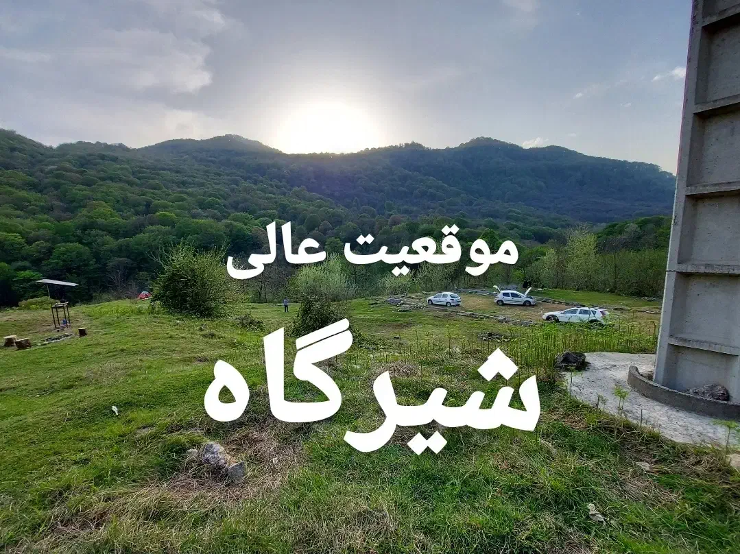 فروش یا اجاره زمین در شیرگاه|فروش دفتر صنعتی، کشاورزی، تجاری|شیرگاه, |دیوار