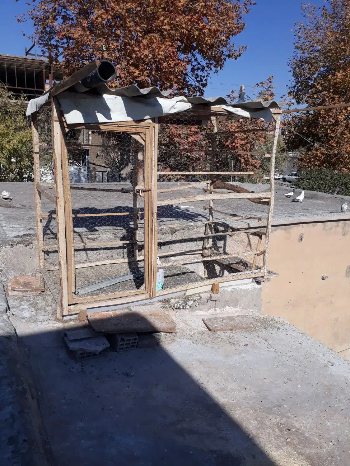 قفس کبوتر مرغ|لوازم جانبی حیوانات|دورود, |دیوار