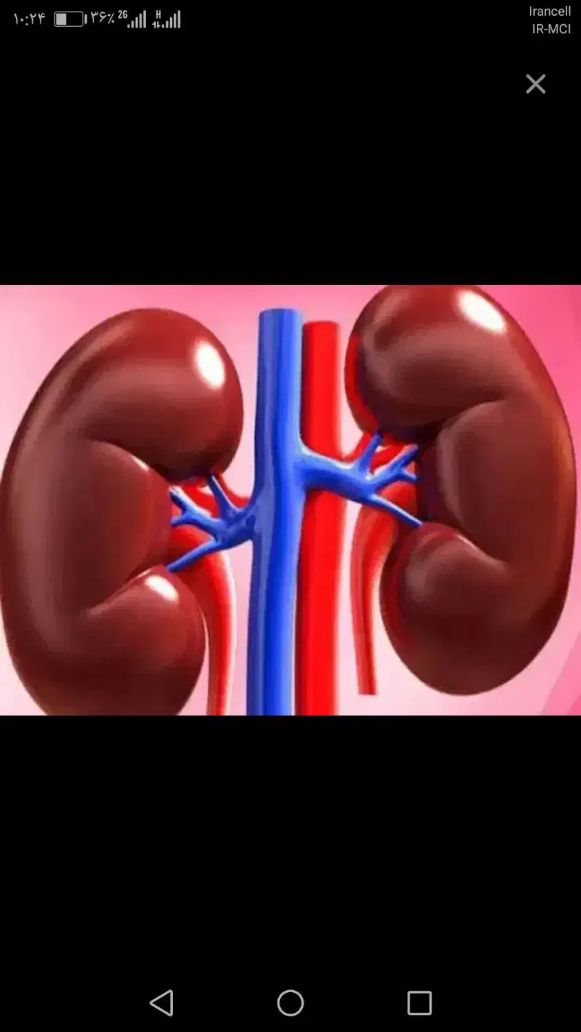 اهدایی|فعالیت داوطلبانه|کرمان, |دیوار