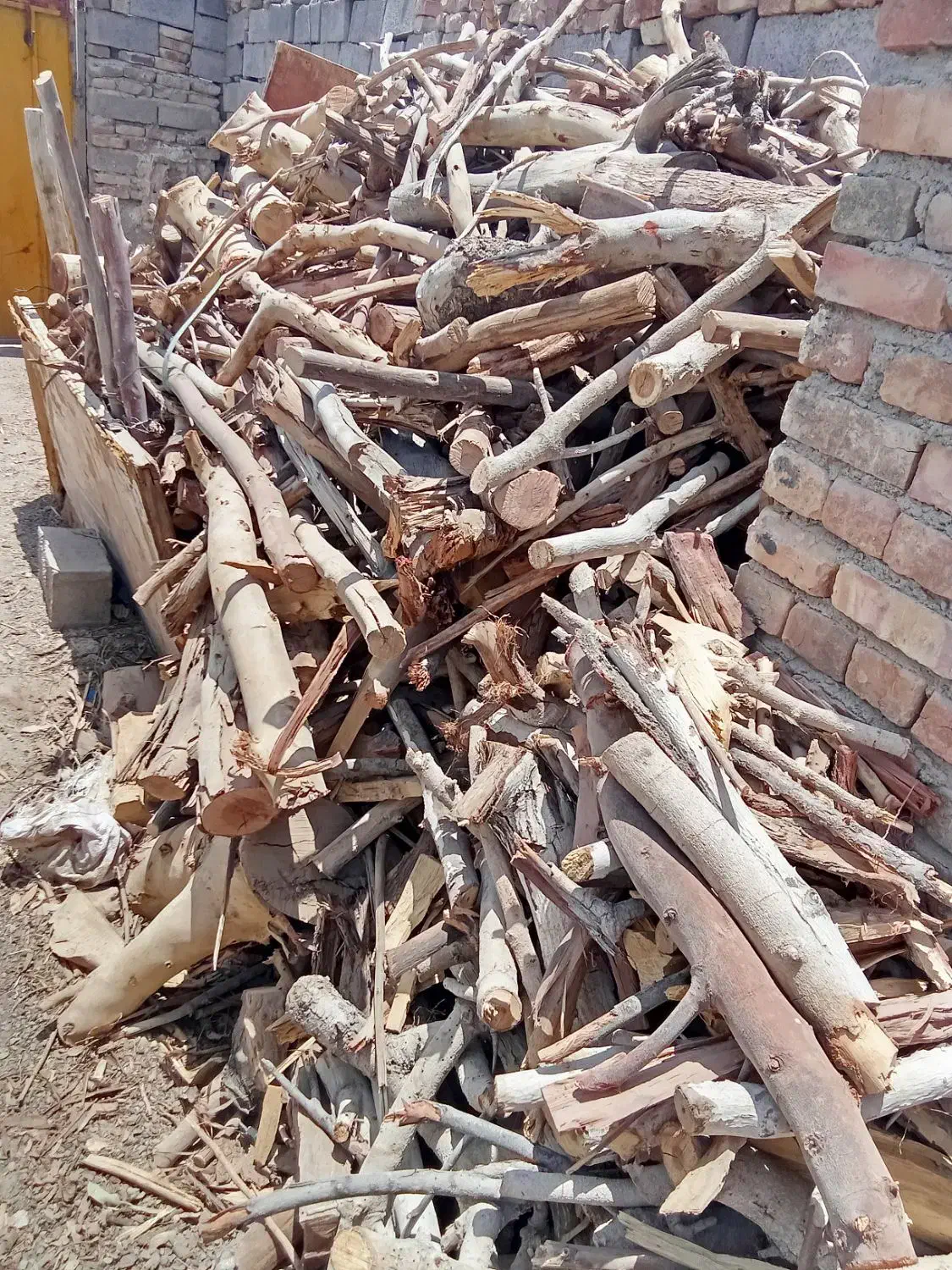 قطع وبرش وتیکه کردن چوب هرس درخت خشک بااره موتوری|خدمات باغبانی و درختکاری|زاهدان, |دیوار