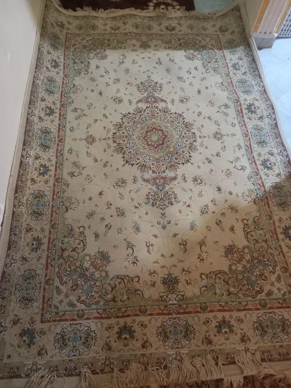 فرش 6 متری|فرش|رشت, بلوار گیلان|دیوار