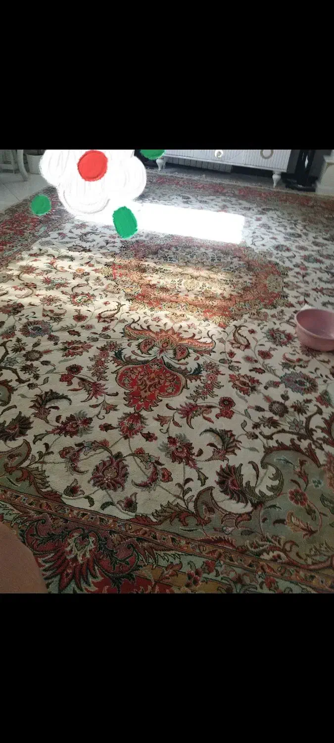 فرش ۱۲ متری|فرش|شاندیز, |دیوار