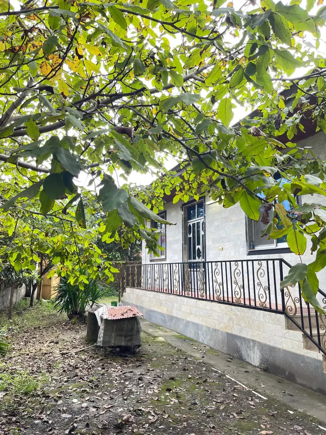 اجاره شبی ویلا دربست قلعه رودخان‌ با قیمت مناسب|اجارهٔ کوتاه‌مدت ویلا و باغ|فومن, |دیوار