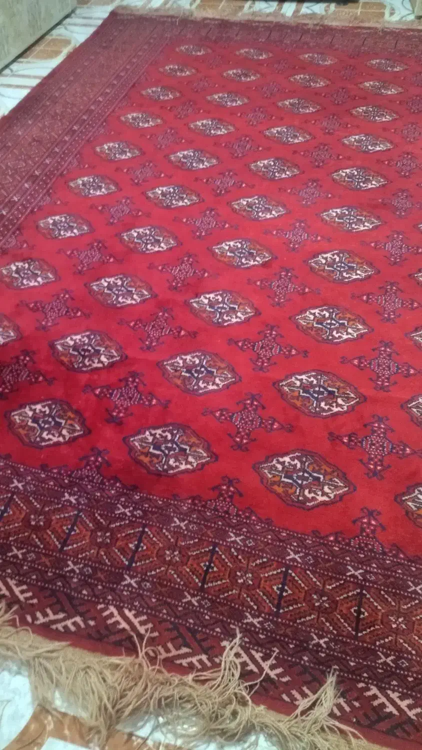 فرش ترکمنی دست بافت|فرش|کردکوی, |دیوار