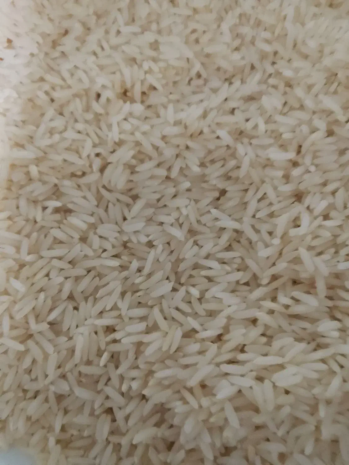 فروش برنج طارم هاشمی|خوردنی و آشامیدنی|تهران, بهارستان|دیوار