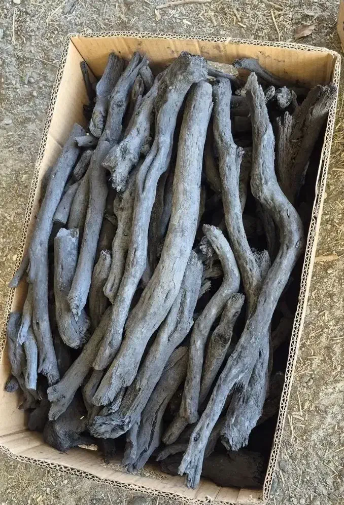 زغال تاق طاق|عمده‌فروشی|شهریار, شهریار|دیوار