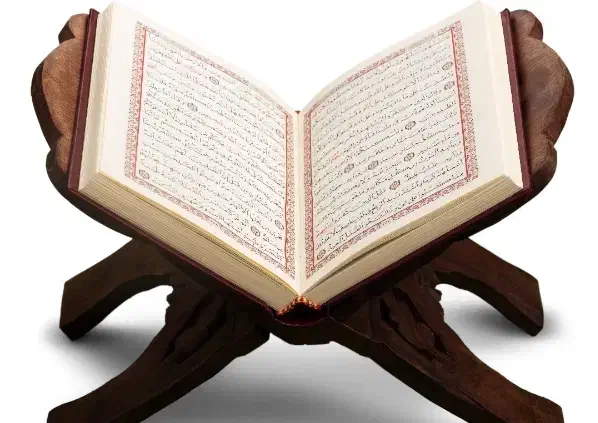 انواع‌دعا استخا.ر|فعالیت داوطلبانه|بندر ماهشهر, |دیوار