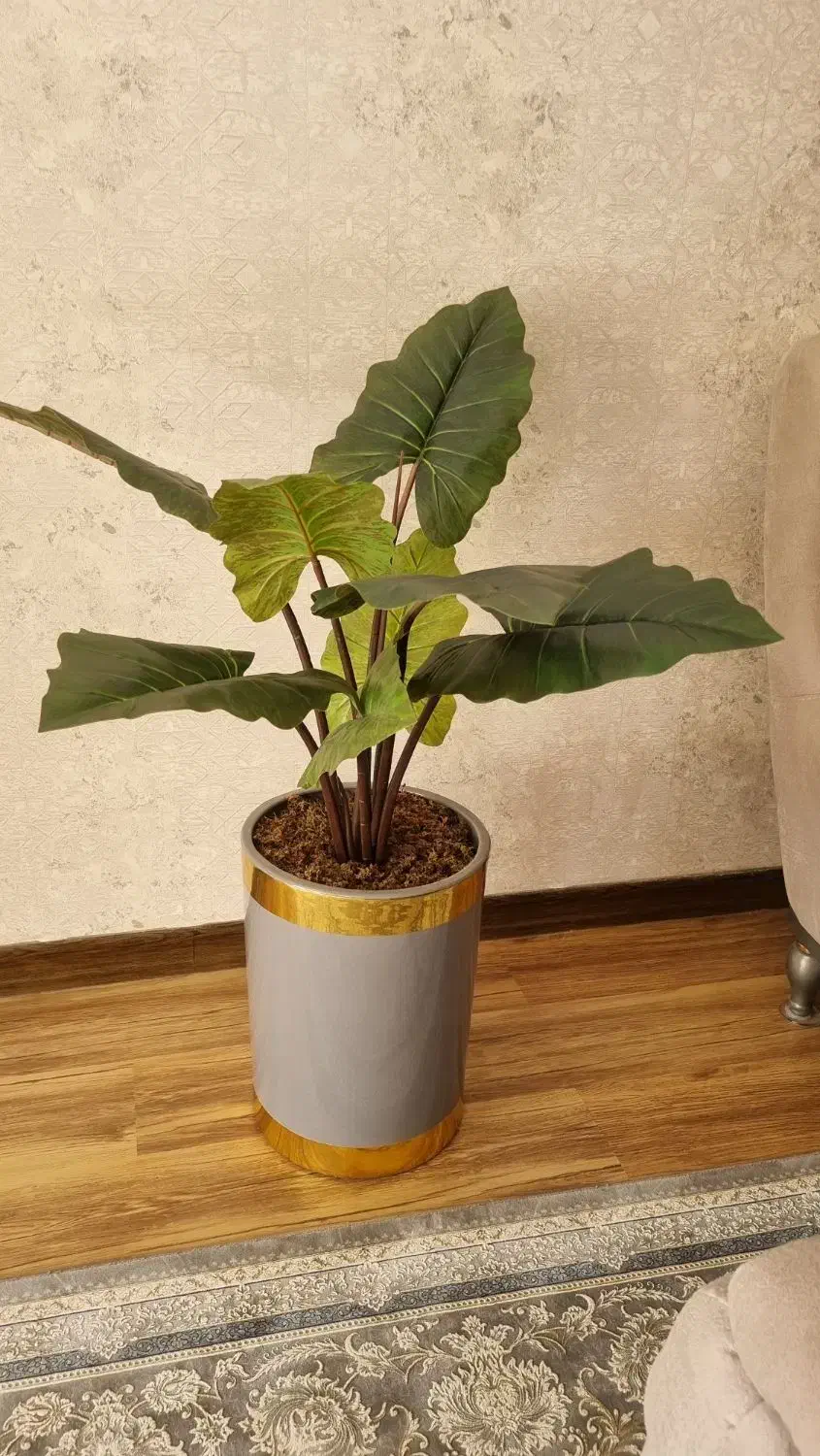 گل بابا آدم جنس خارجی با ضمانت|گل مصنوعی|بروجرد, |دیوار