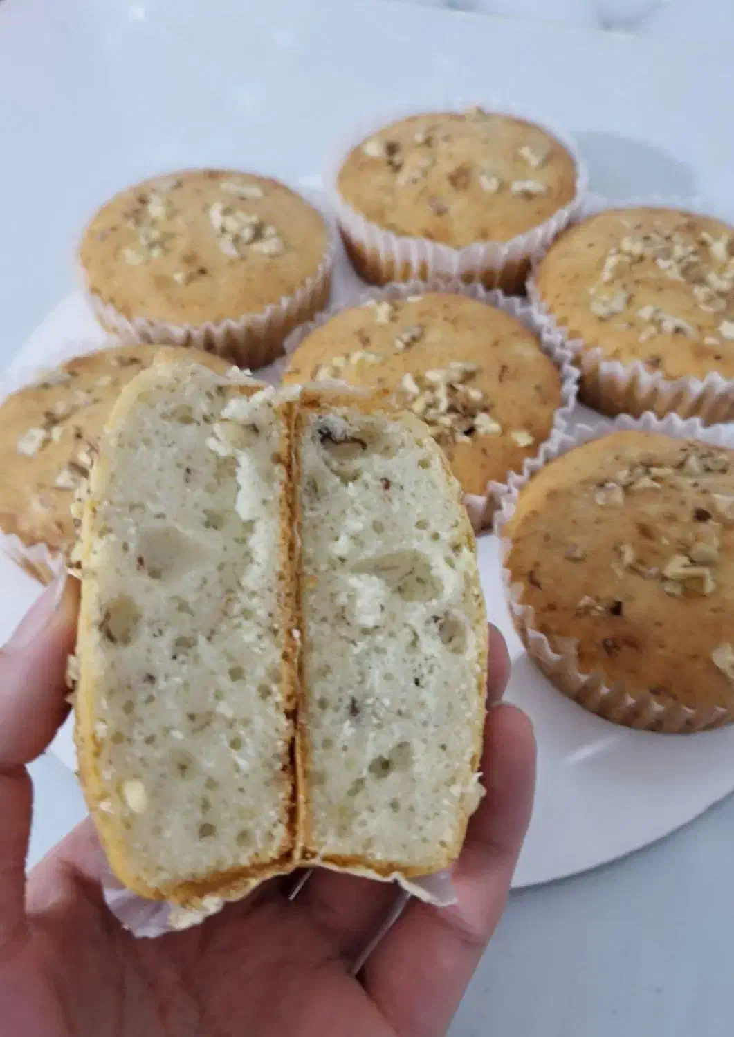 کیک تولد|خوردنی و آشامیدنی|مشهد, ویلاشهر|دیوار