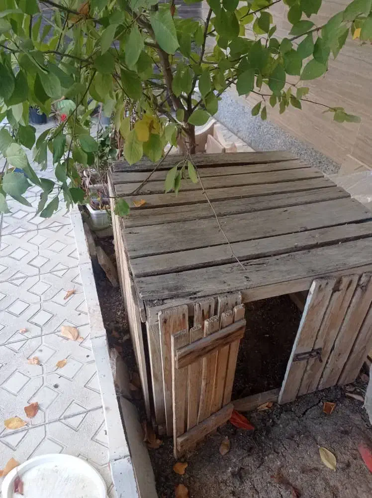 قفسه مرغ|لوازم جانبی حیوانات|اهر, |دیوار