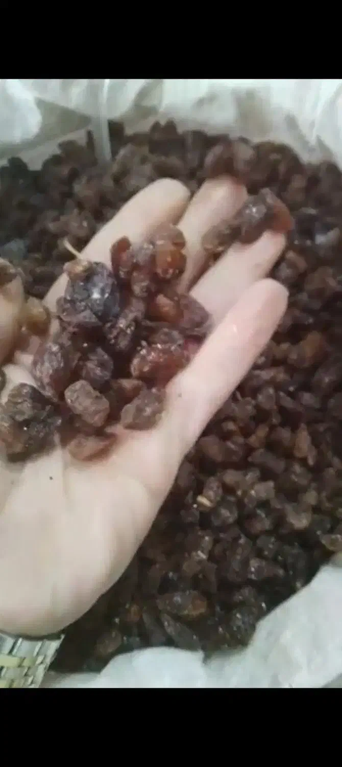 کشمش درجه یک آفتابی|خوردنی و آشامیدنی|فردیس, فردیس|دیوار