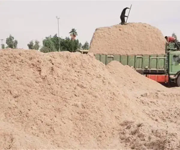 باگاس|لوازم جانبی حیوانات|چمستان, |دیوار