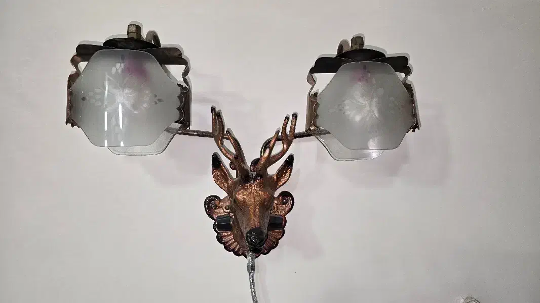 دیوار کوب گوزن|مجسمه، تندیس، ماکت|تهران, مشیریه|دیوار