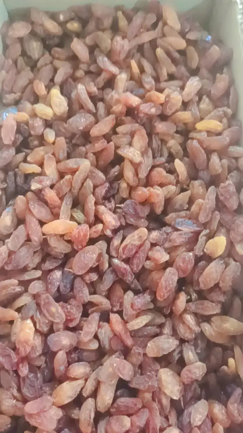 کشمش آفتابی کاشمر|خوردنی و آشامیدنی|ورامین, ورامین|دیوار