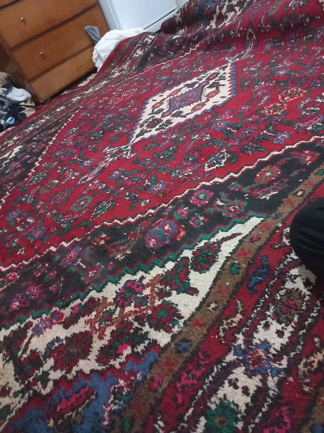 دوتا فرش دستبافت|فرش|همدان, |دیوار