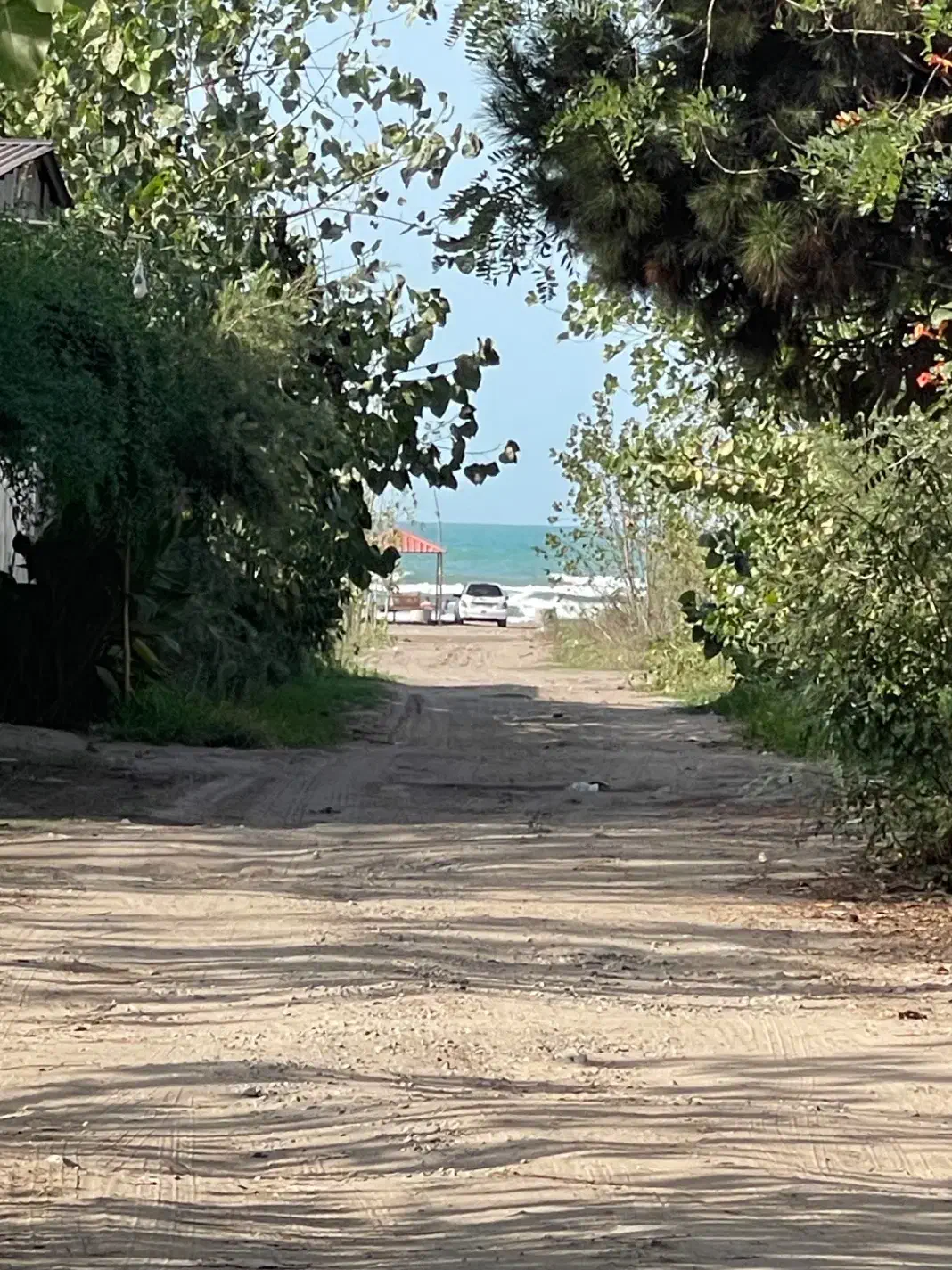 زمین مسکونی /۲۵۰ متری/ بر ۳ دریا / زیباکنار|فروش زمین و ملک کلنگی|رشت, بازار|دیوار