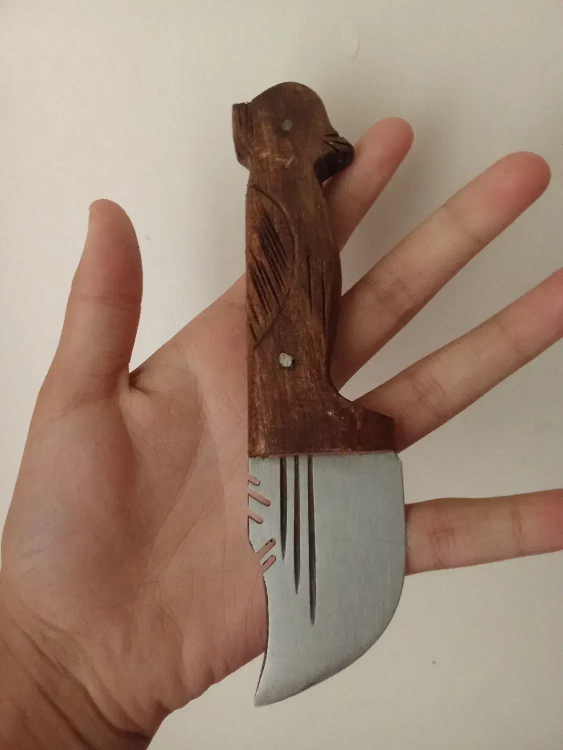 چاقو|کوهنوردی و کمپینگ|ملایر, |دیوار