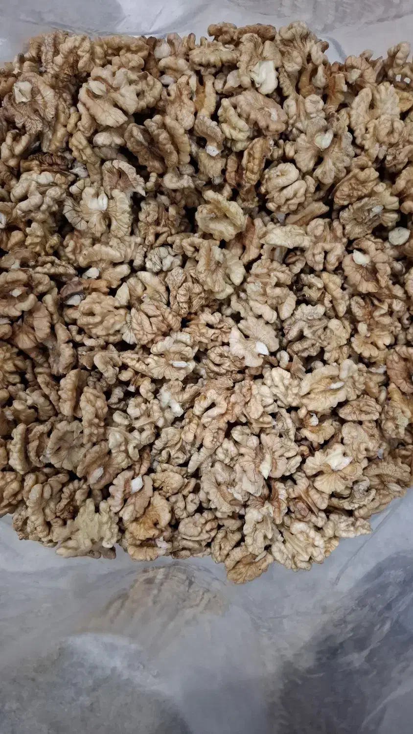 مغز گردوی درجه 2|خوردنی و آشامیدنی|رشت, ترمینال|دیوار