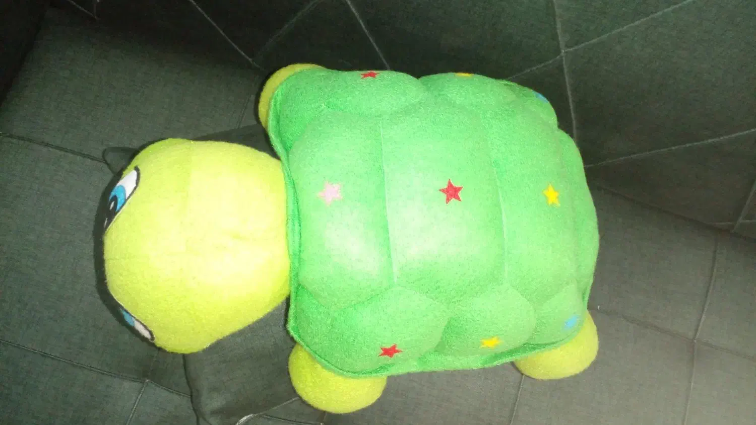 عروسک لاک پشت.|اسباب‌بازی بچه|قدس, شهر‌قدس|دیوار