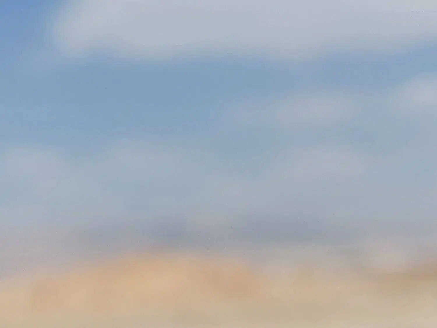 زمین کشاورزی هکتاری، دامداری، گلخانه، مرغداری|فروش دفتر صنعتی، کشاورزی، تجاری|نظرآباد, نظرآباد|دیوار